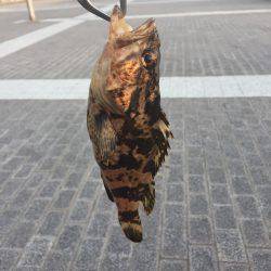 GWメバリング3日目！