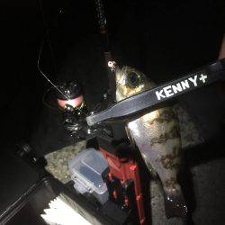 まさかの大物！！！