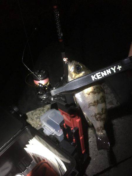 まさかの大物！！！