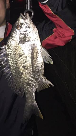 やっぱチニング