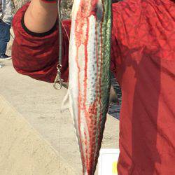 ショアジギング