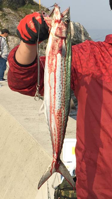 ショアジギング