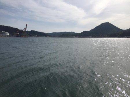 わぉ!コダコかぁ〜〜(≧∀≦)