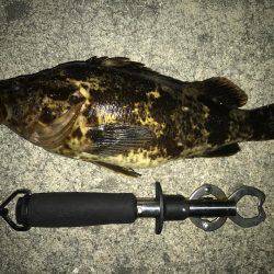 タケノコメバル