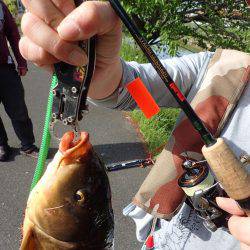 初めてのカープフィッシイング