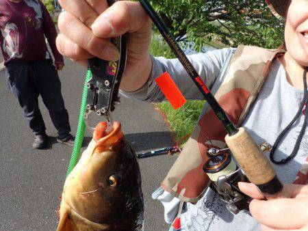 初めてのカープフィッシイング