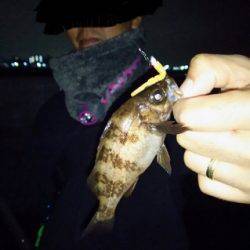 ランガンメバリング