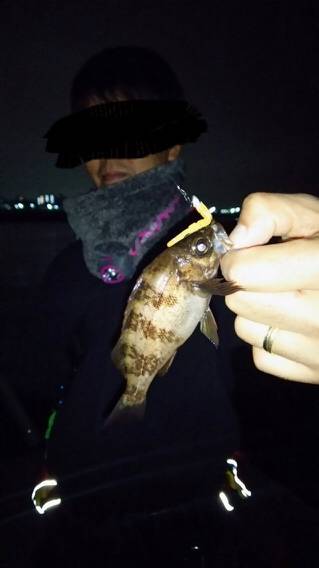 ランガンメバリング