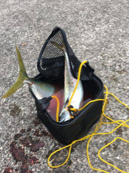 目の前長めのボイル