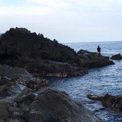 ブルーランナー