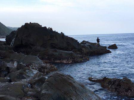 ブルーランナー