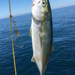 狙いどうり青物！！