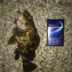 ルワーとエサ釣り