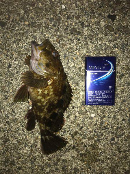 ルワーとエサ釣り