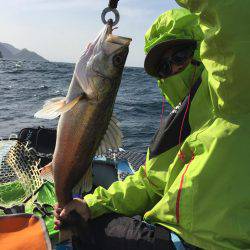 マイボートでタイラバ、ジギング  本庄沖