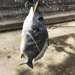 トップチニング