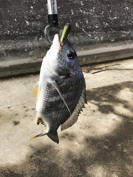 トップチニング