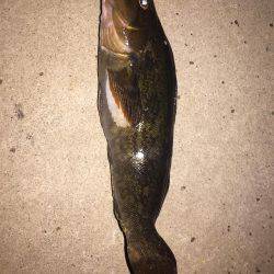 ランガンで攻め続けた結果…