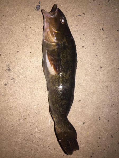 ランガンで攻め続けた結果…