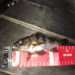 泉南ライトゲーム