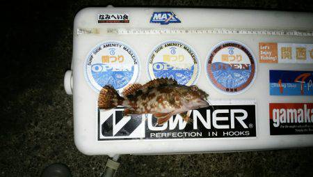 再度、煙樹ヶ浜釣行のつもりが…