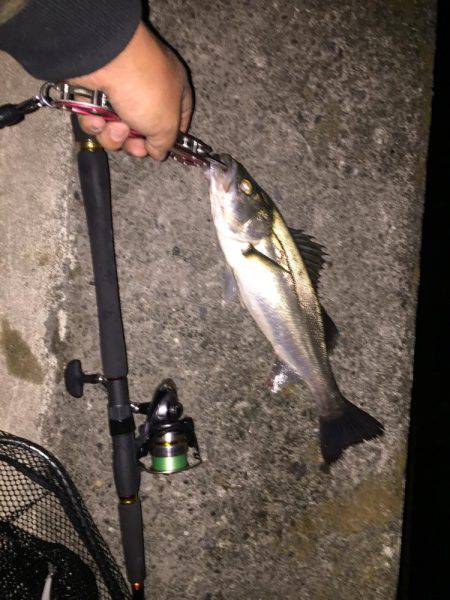 残りバチシー！