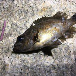 未知のポイントへ…