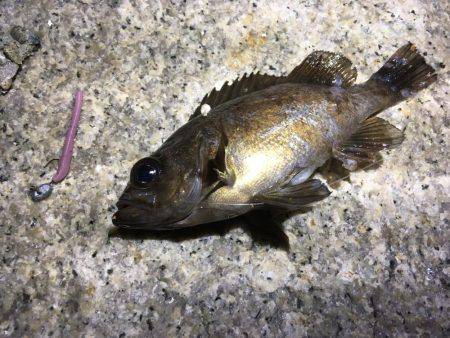 未知のポイントへ…