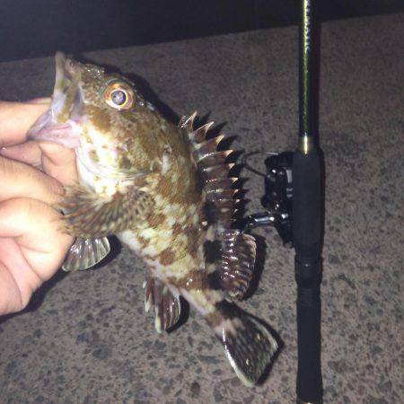 ナイトフィッシング！！ガシメバリング！！