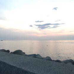 朝マヅメ釣行①