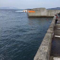 ショアジギ&穴釣り