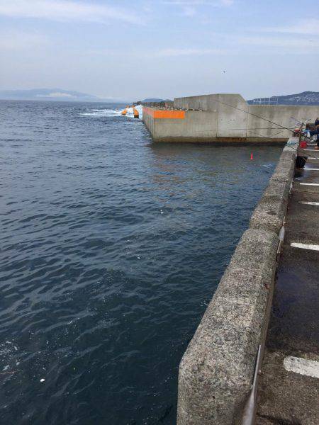 ショアジギ&穴釣り