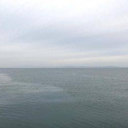 夕マヅメタチウオ釣行①