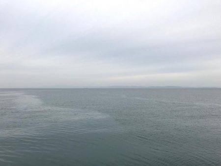 夕マヅメタチウオ釣行①