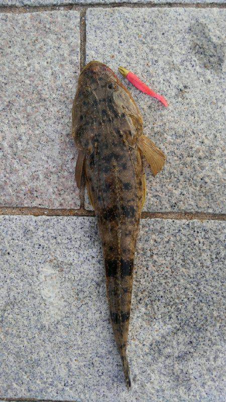 かぶと山公園にて(笑)。