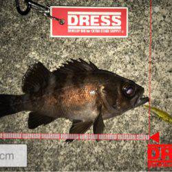 １つのプラグでしか反応ない…