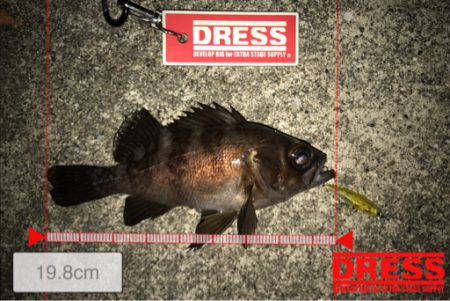 １つのプラグでしか反応ない…