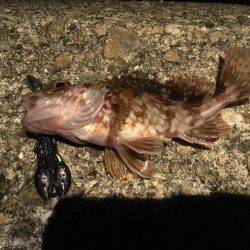 外道祭り開催(笑)