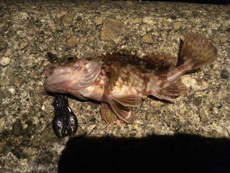 外道祭り開催(笑)