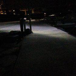 今日は素直にガシリング!!