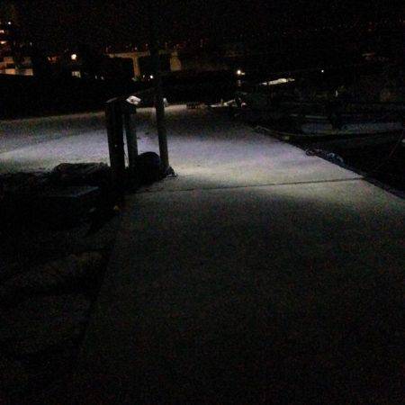 今日は素直にガシリング!!