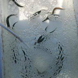 初めての、、、