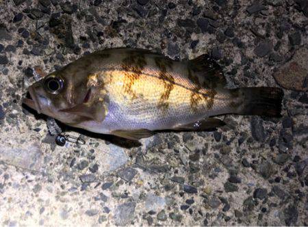 爆釣ポイント探し！