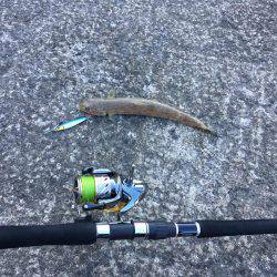 朝と夕でエソツー