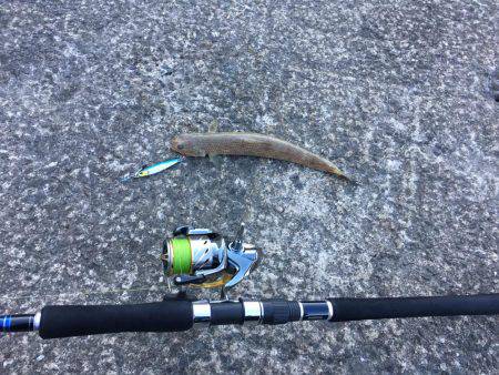 朝と夕でエソツー