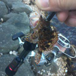 ロックフィッシュ