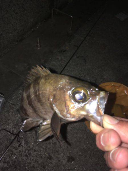 自作フロート炸裂！