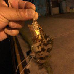 仕事終わりに。