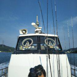 白身三昧リベンジ