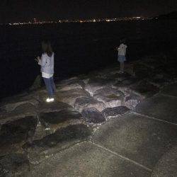 ファミリーフィッシング